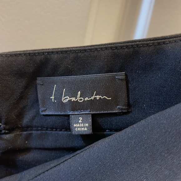 T. Babaton Pencil Skirt - Picture 5 of 5